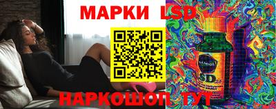 дмт Аргун