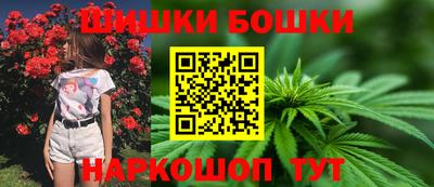 дмт Аргун