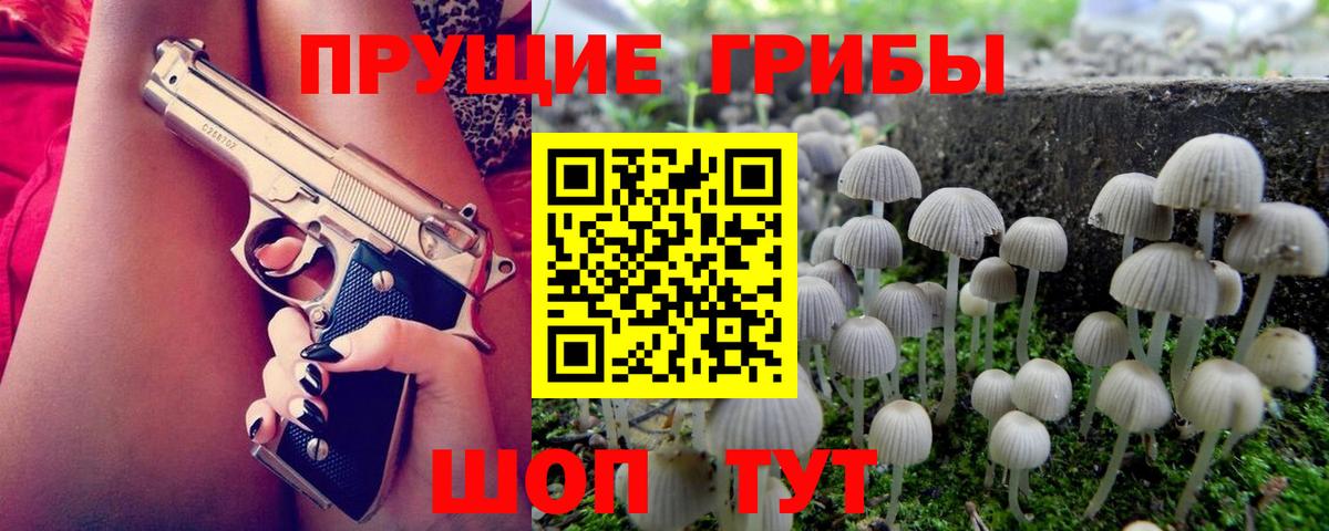 Вязьма  Псилоцибиновые грибы прущие грибы  Вход с VPN 